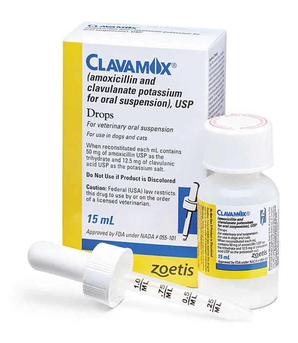 Rx Clavamox for Dogs and Cats (Amoxicillin trihydrate/clavulanate potassium) For Oral Suspension Oral Drops, 15 ml - Pet's Shop