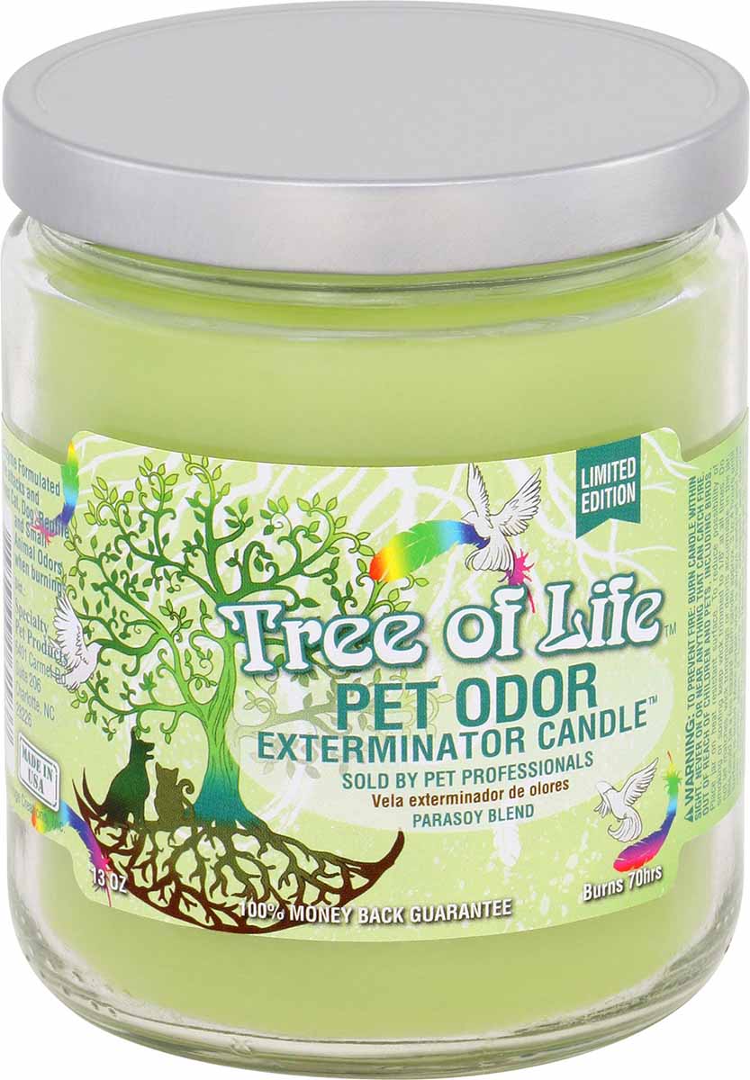 Pet Odor Exterminator Candle, Tree of Life, 13 oz - Pet's Shop