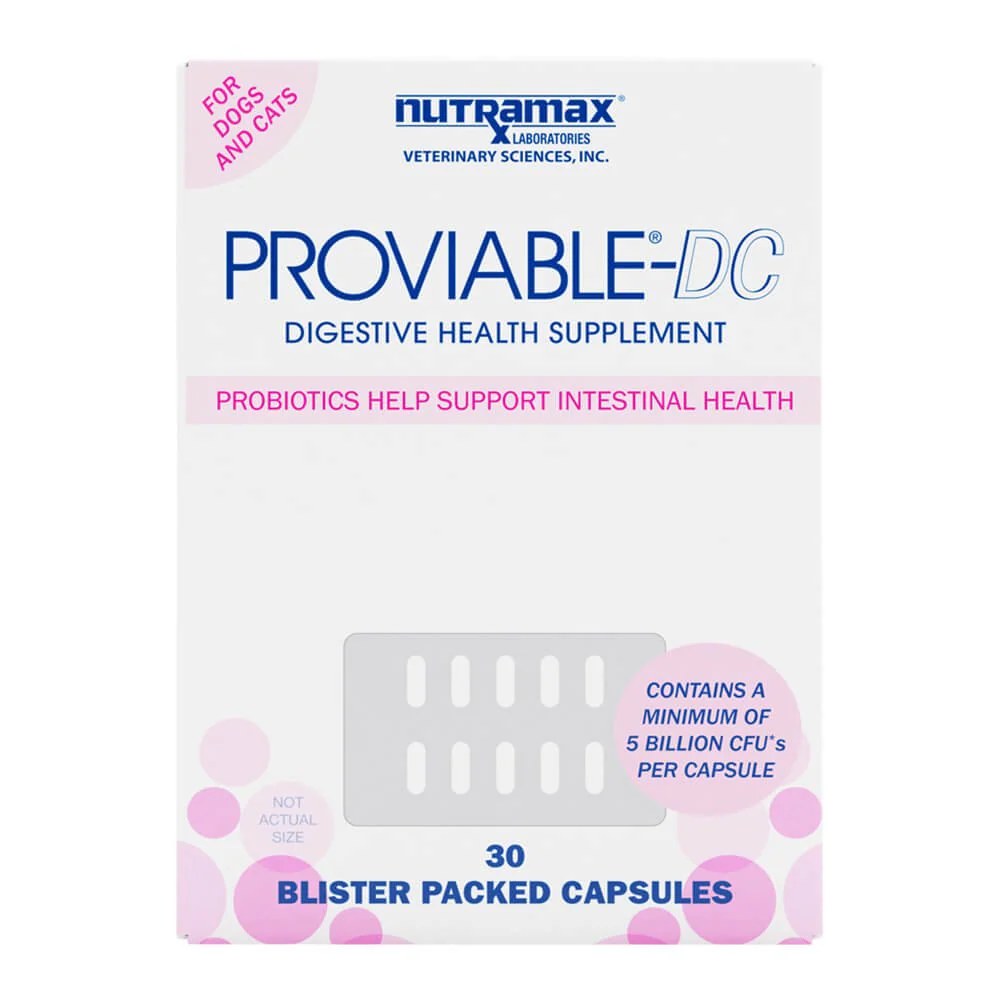 Nutramax Proviable-DC for Dogs & Cats - Pet's Shop