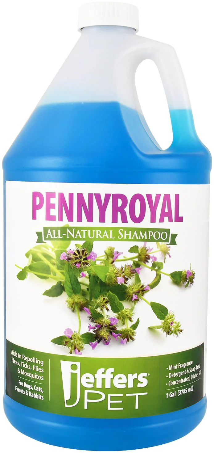 Pennyroyal Natural Shampoo for Dogs and Cats - Pet's Shop