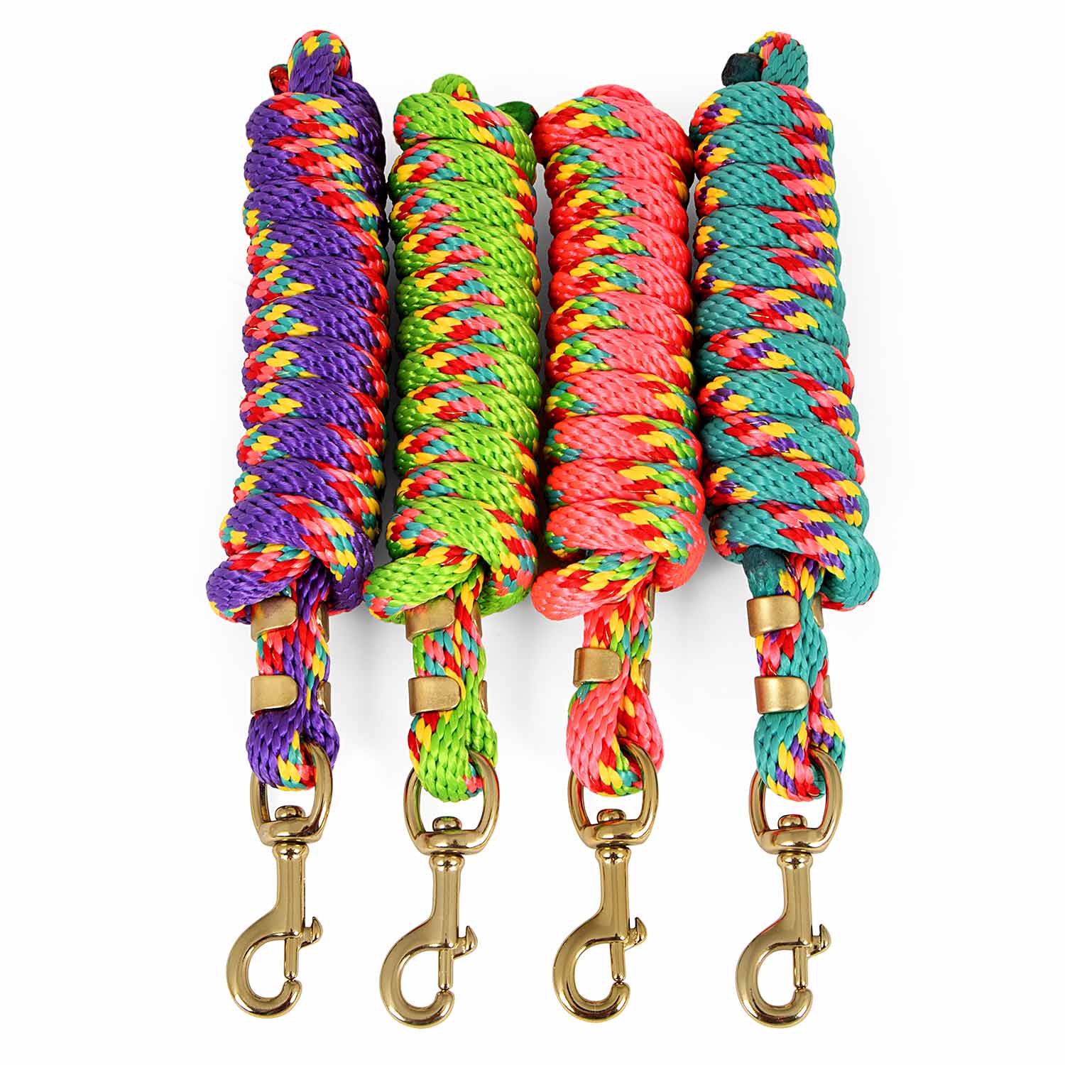 Neon Poly Lead Rope with Bolt Snap, 8' - Pet's Shop