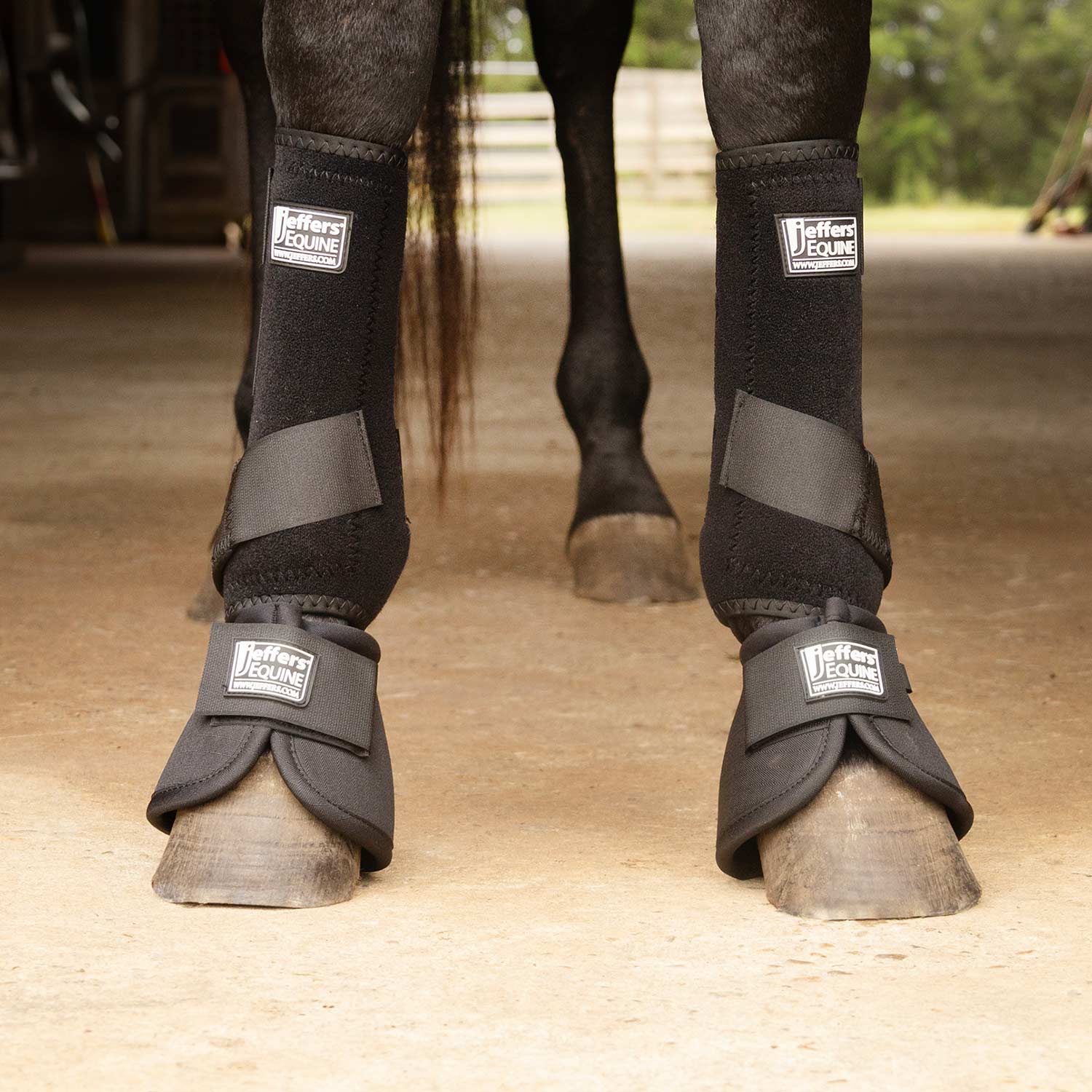 Protective Horse Boots - Pet's Shop
