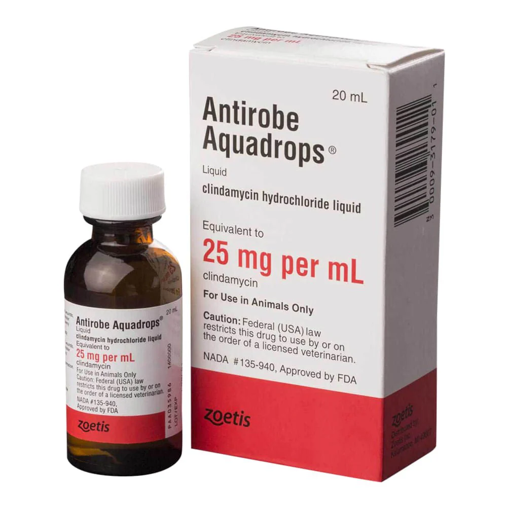 Rx Antirobe (clindamycin hydrochloride liquid) Aquadrops for Dogs & Cats, 25mg/ml x 20ml - Pet's Shop