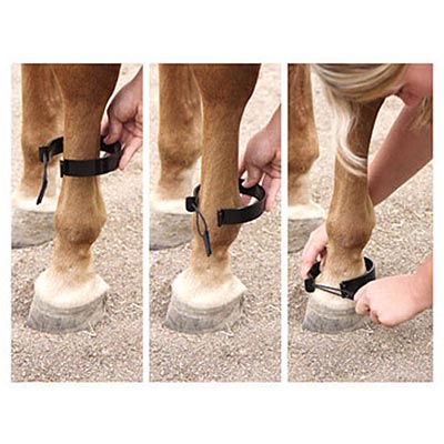 Paw-B-Gone Horse Ankle Bands, Pair - Pet's Shop