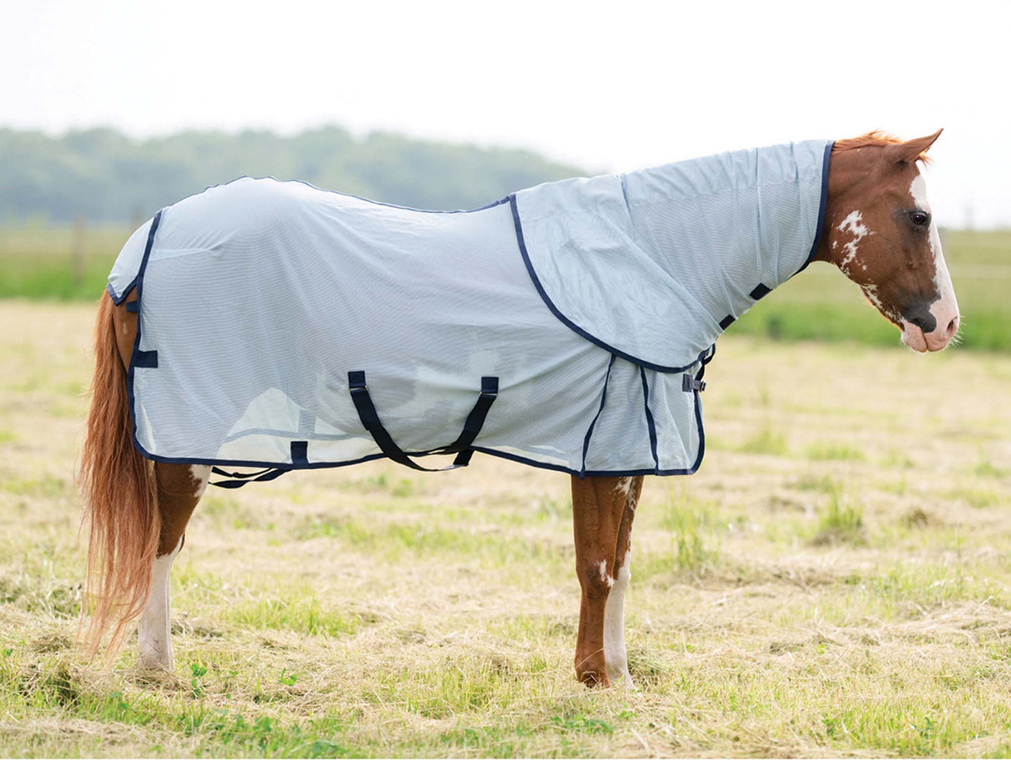 Professional's Choice Theramic Therapy Horse Fly Sheet - Pet's Shop