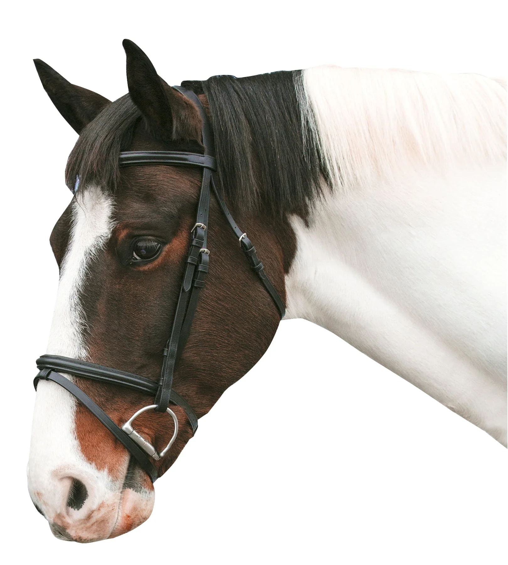 Loveson Horse Bridle - Pet's Shop