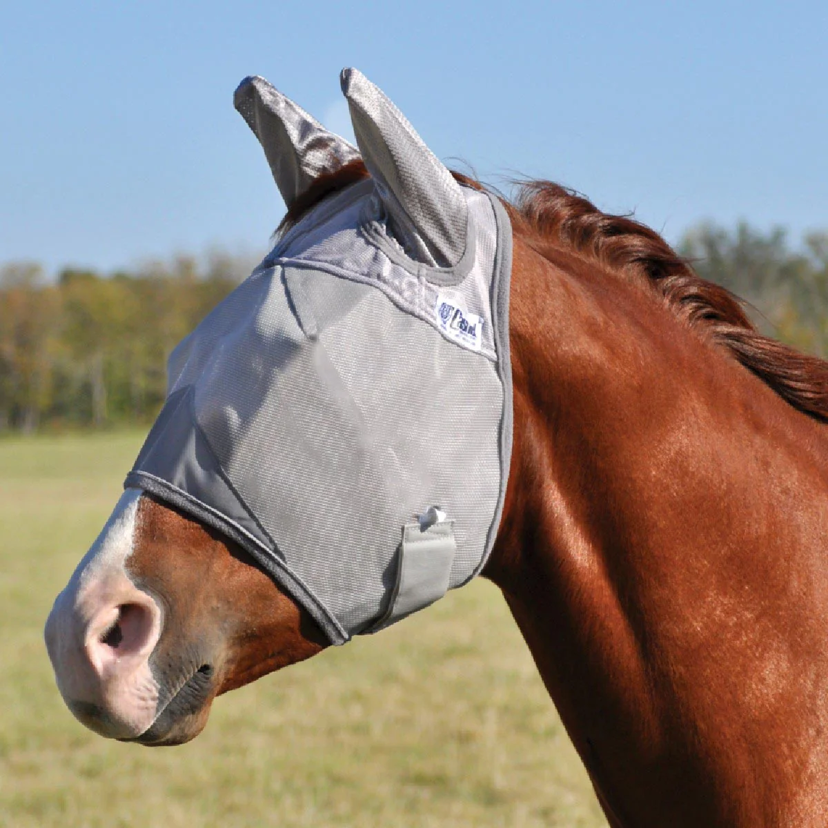 Crusader Fly Mask with Ears - Pet's Shop