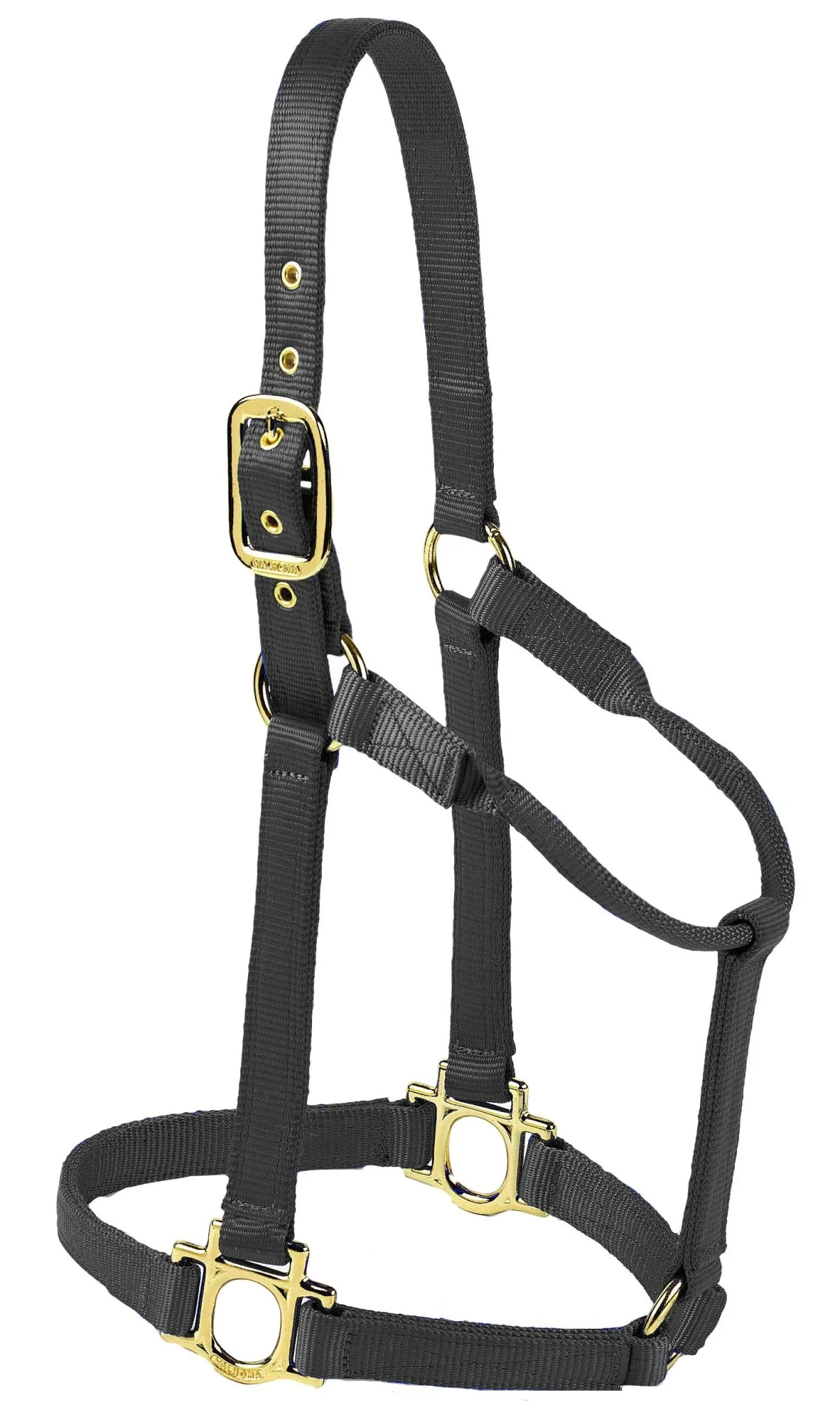 Valhoma Premium Nylon Halter - Pet's Shop