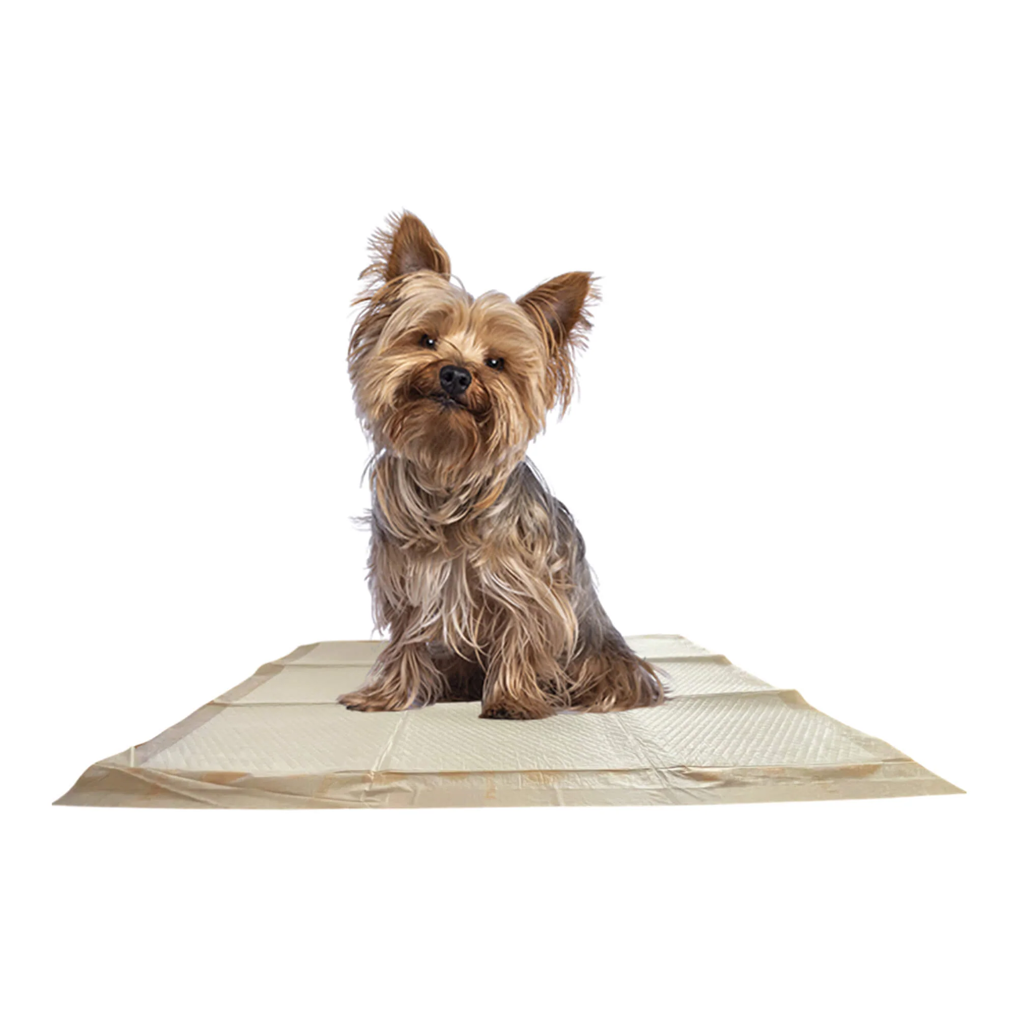 WizSmart Essentials Pads, Large - Pet's Shop