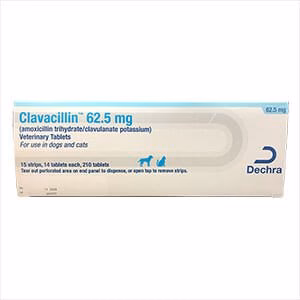 Rx Clavacillin (amoxicillin trihydrate/clavulanate potassium) Tablets for Dogs - Pet's Shop