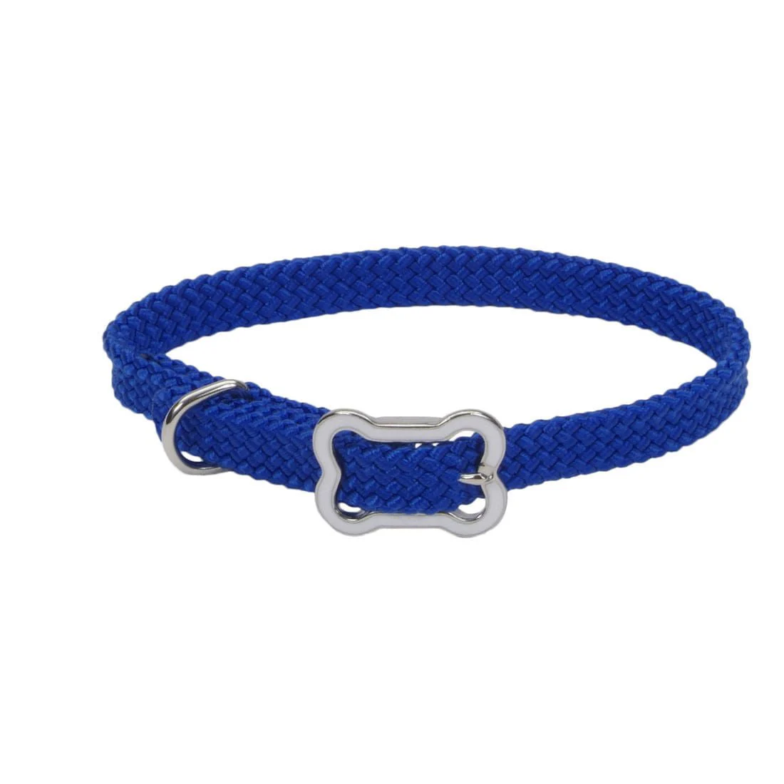 Sunburst Dog Collar with Bone Buckle - Pet's Shop