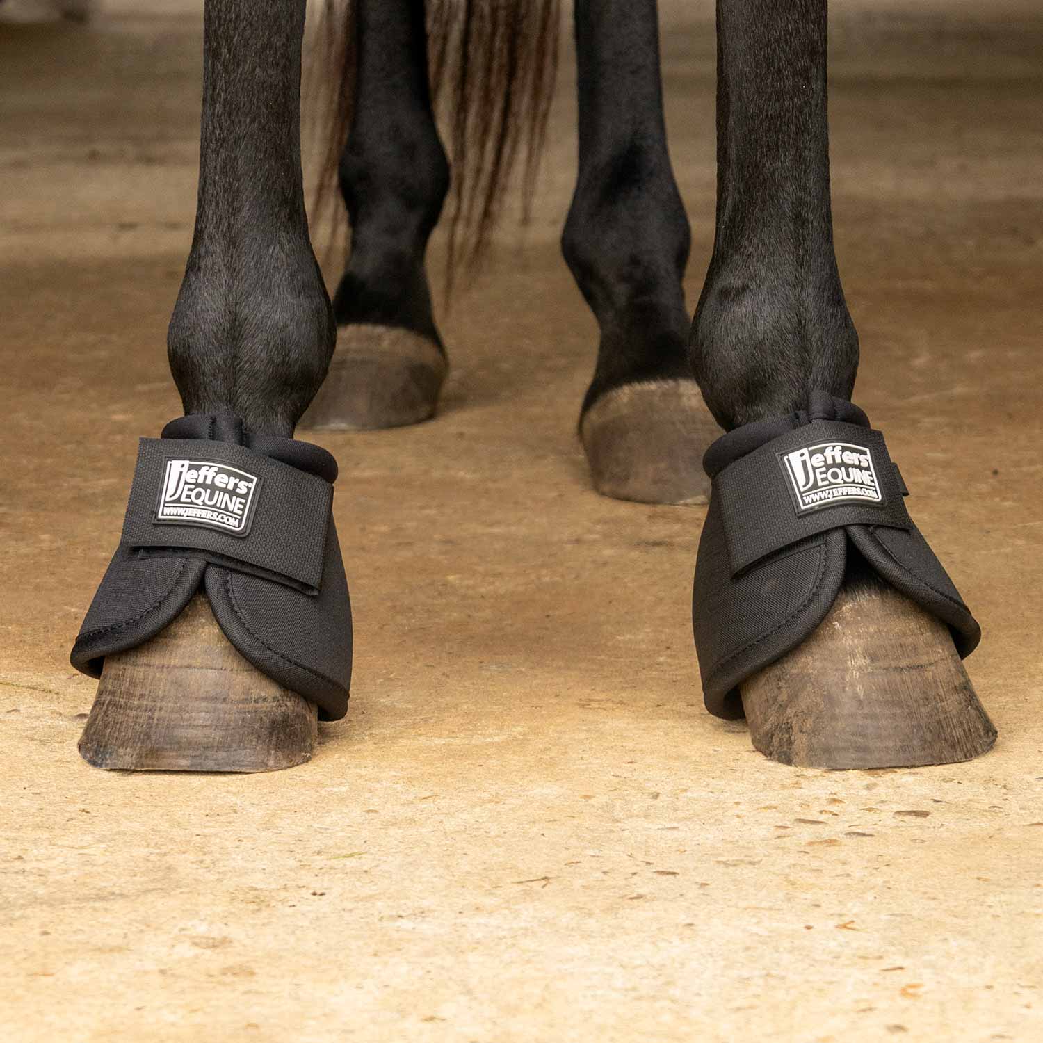 Bell Boots for Horses - Pet's Shop