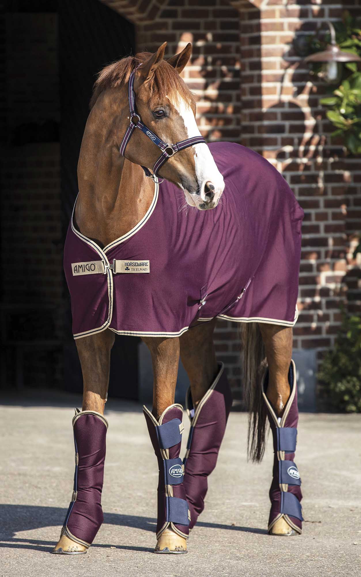 Amigo Jersey Horse Cooler, Fig with Navy & Tan Trim - Pet's Shop