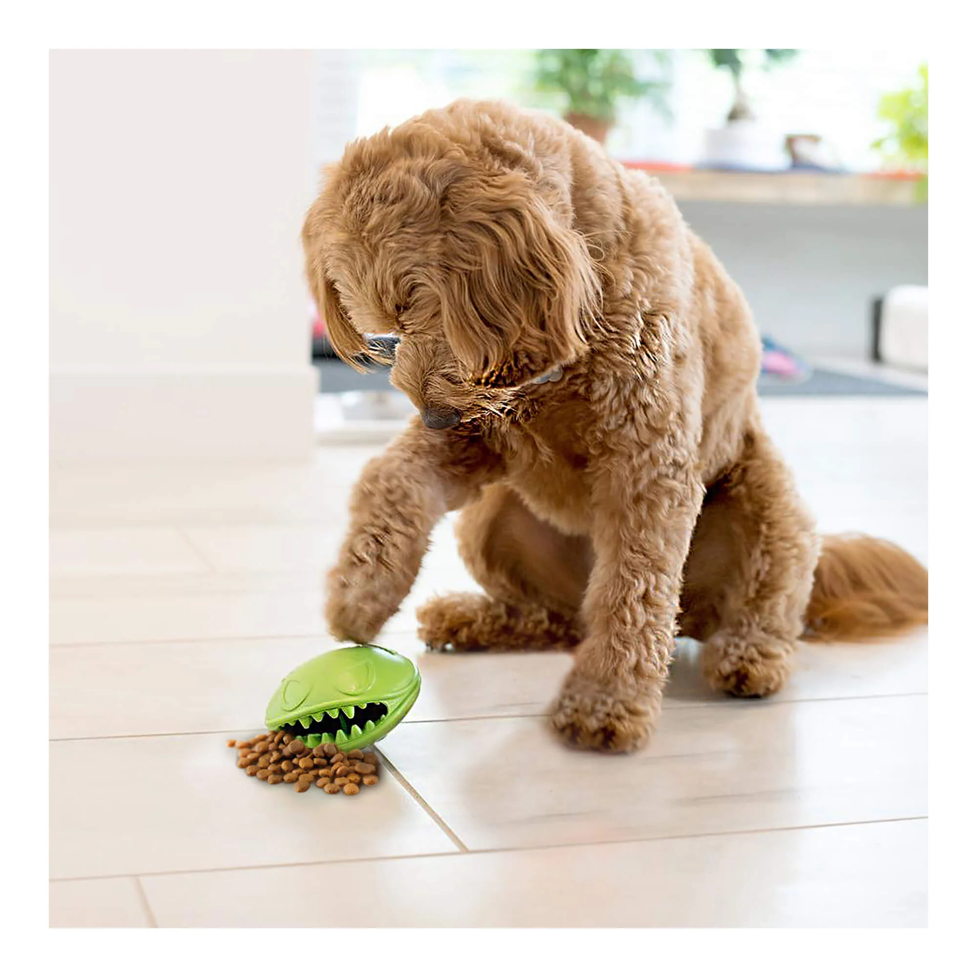 Monster Mouth Treat Dispenser - Pet's Shop