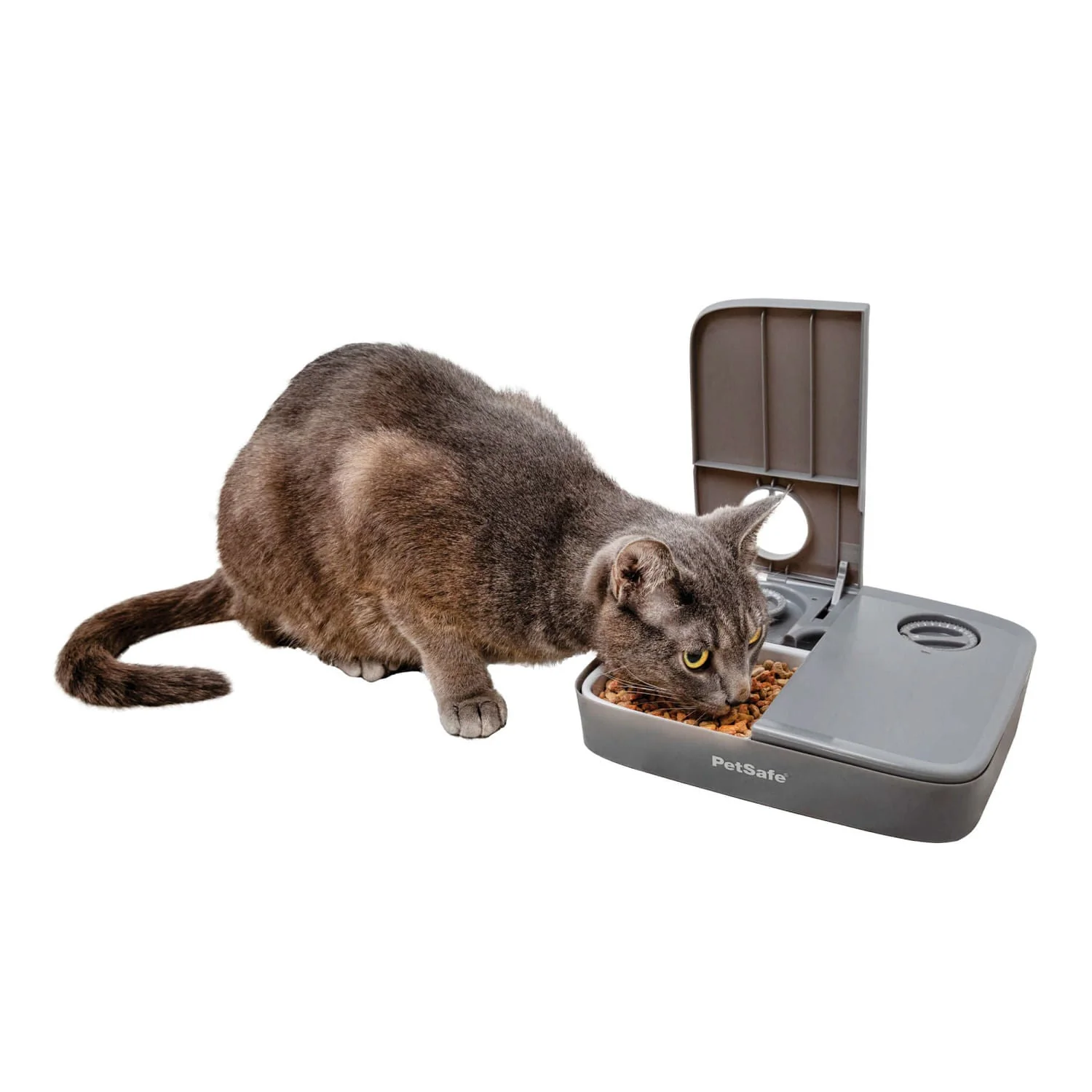 PetSafe Automatic 2 Meal Pet Feeder - Pet's Shop