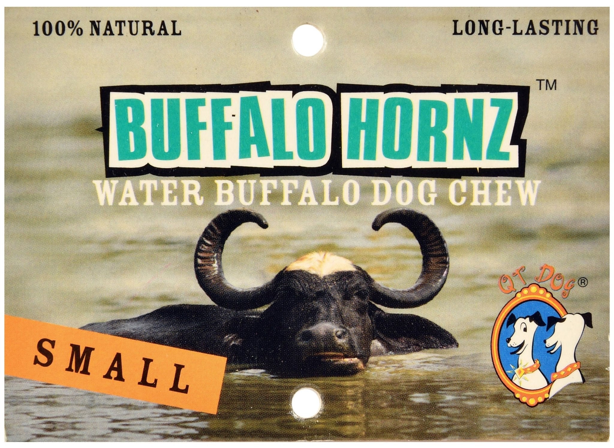 Buffalo Hornz - Pet's Shop