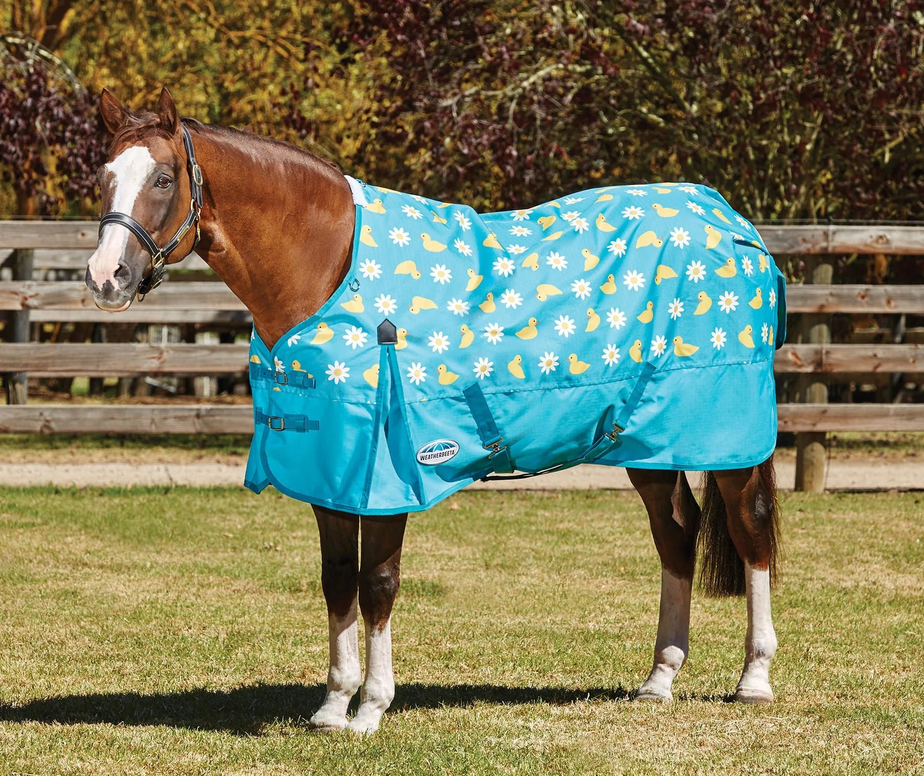 WeatherBeeta ComFITec Essential Standard Neck Sheet - Pet's Shop