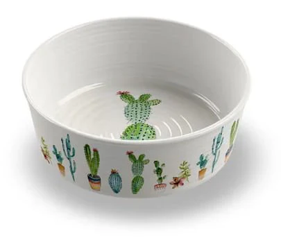 Cactus Pet Bowl - Pet's Shop