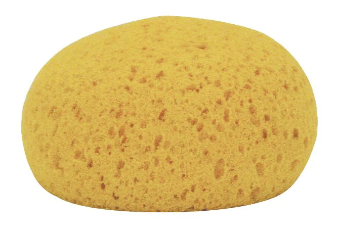 Decker Tack Sponges, 12pk - Pet's Shop