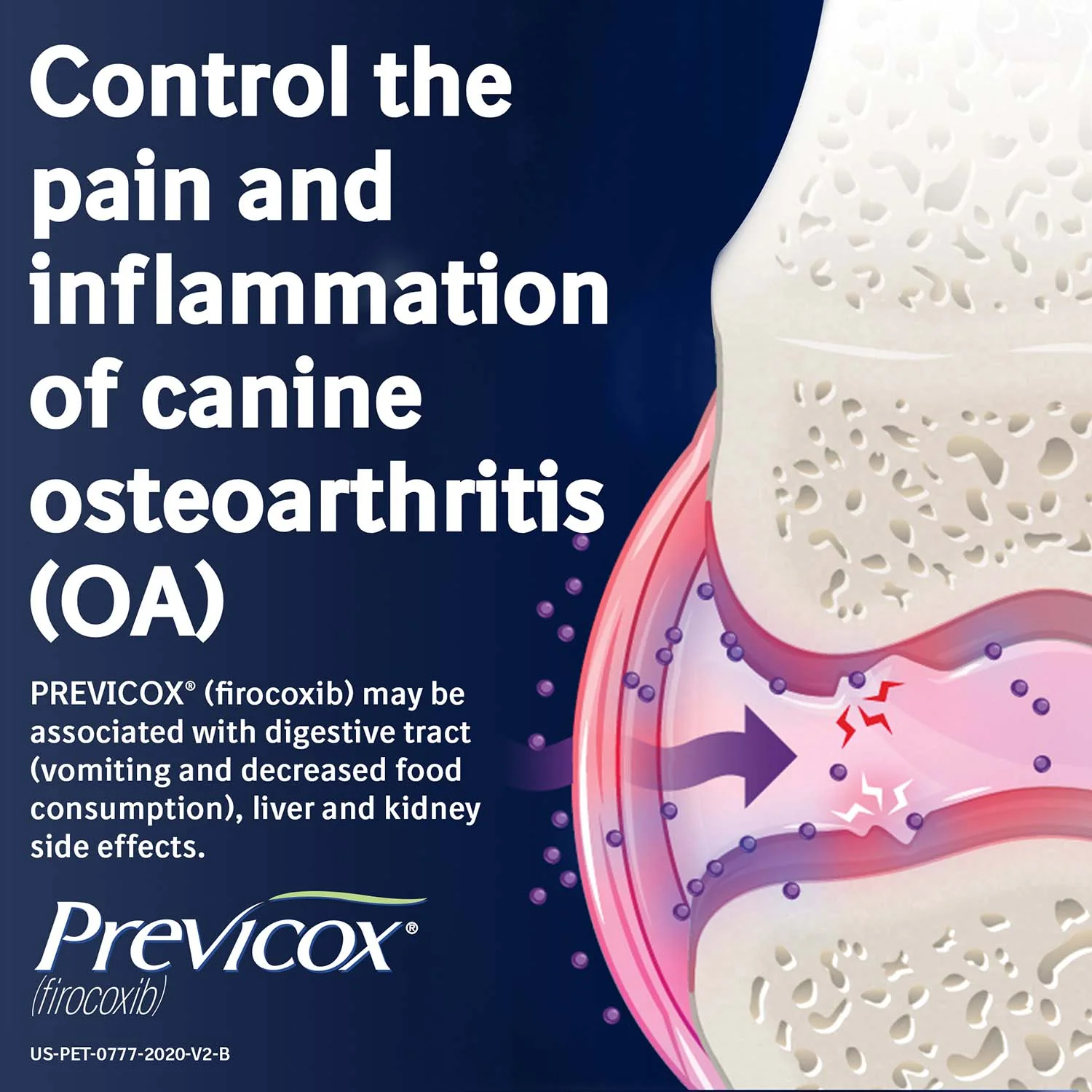 Rx Previcox (firocoxib) Chew Tabs for Dogs - Pet's Shop