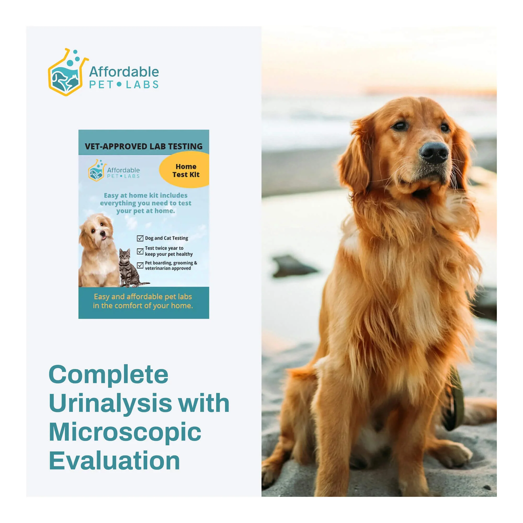 Affordable Pet Labs - Complete Urinalysis with Microscopic Evaluation For Dogs, Easy Home Kit - Pet's Shop