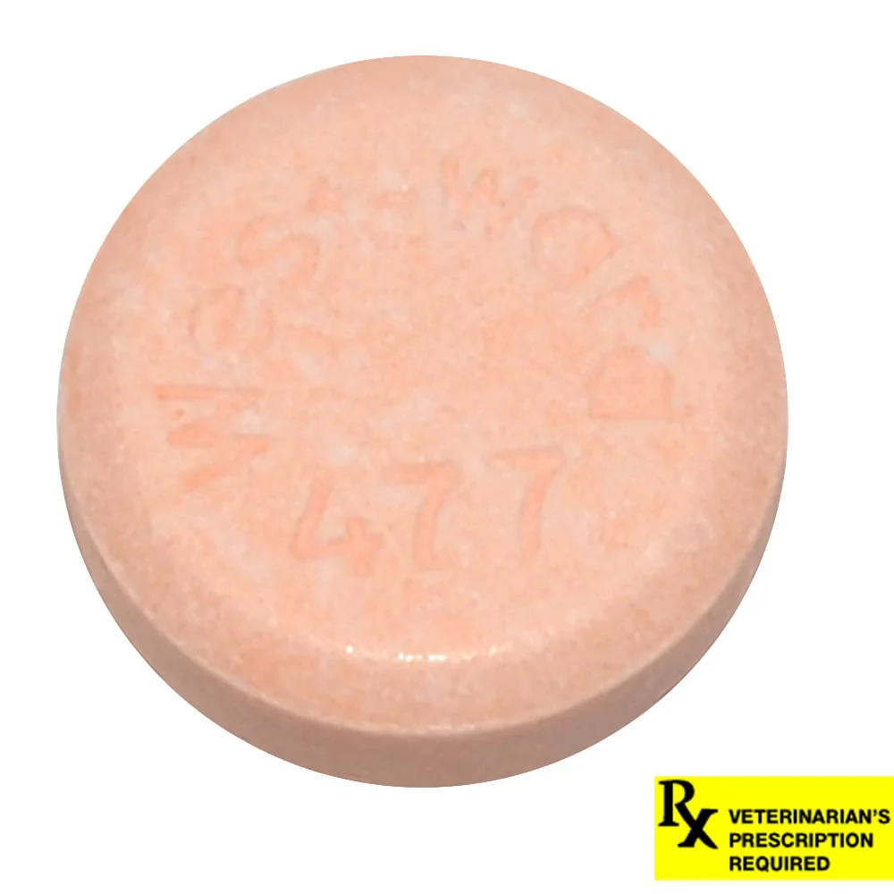 Rx Prednisone (Generic) Tablets for Dogs - Pet's Shop
