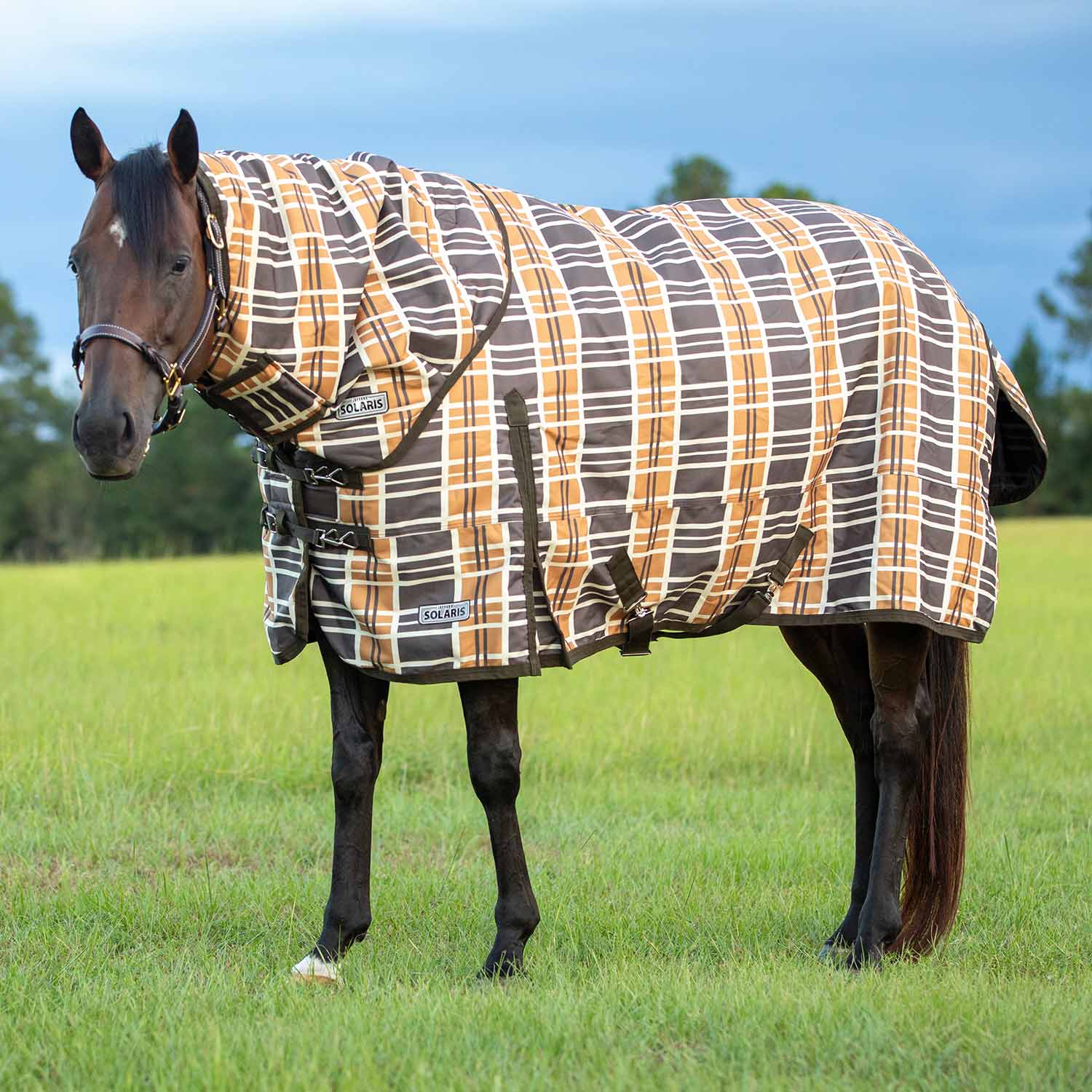 Solaris 1200 Denier Heavyweight Horse Turnout Blanket with Neck Rug. 360g Fill, Brown & Cream Plaid - Pet's Shop