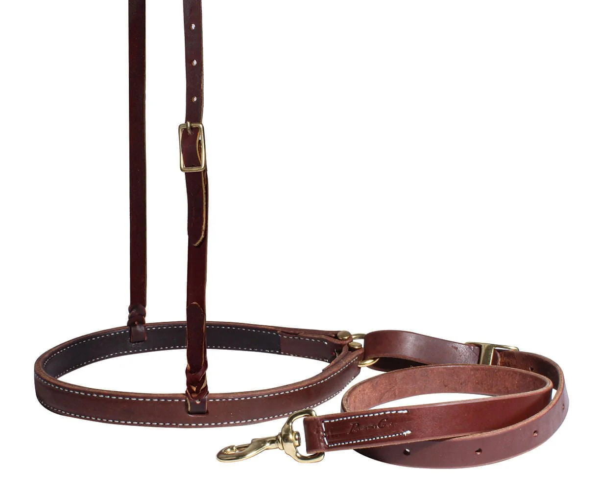 Professional's Choice Harness Leather Ranch Tie Down Set - Pet's Shop