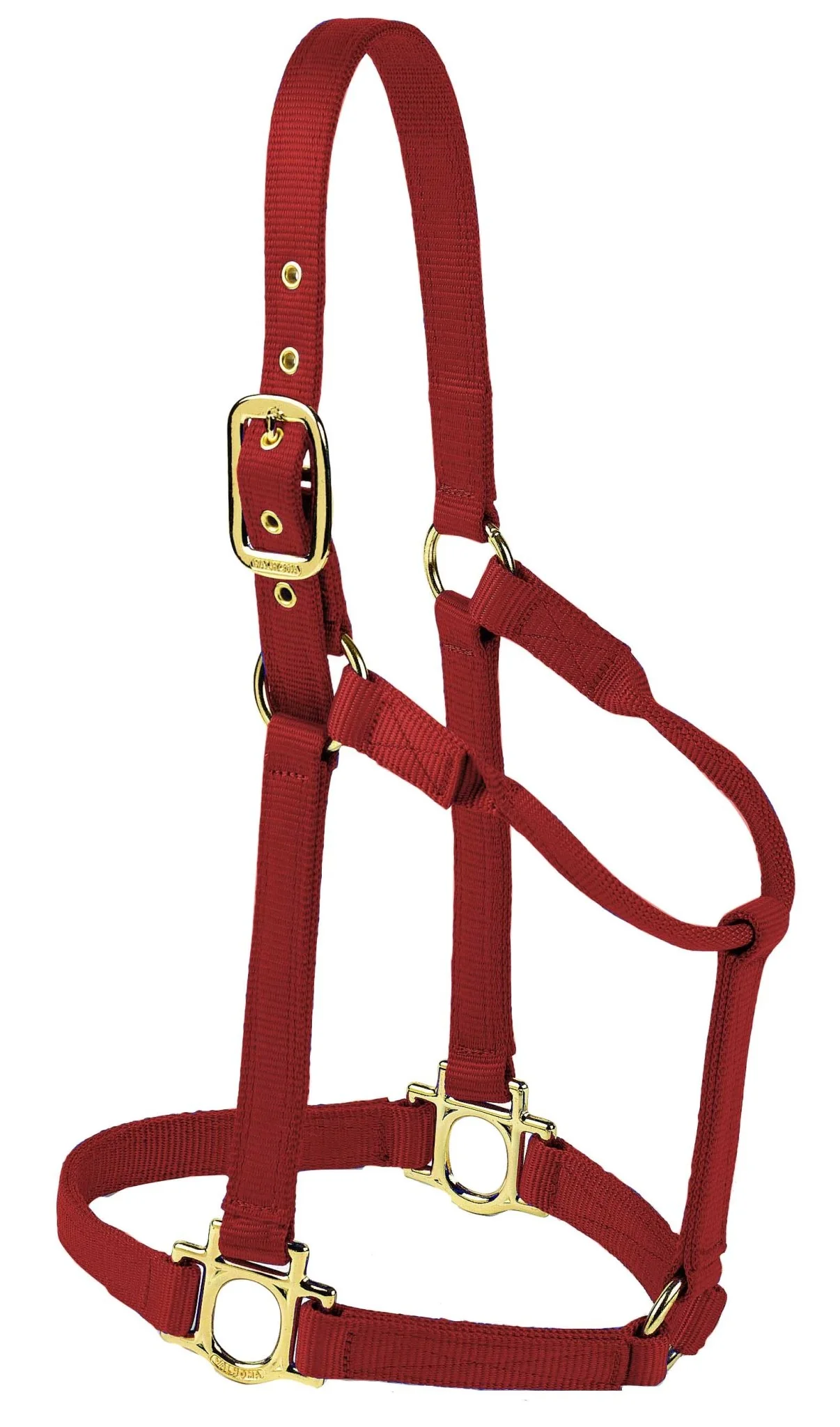 Valhoma Premium Nylon Halter - Pet's Shop