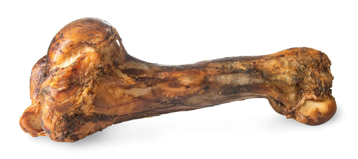 ChewMax Dino Beef Bone - Pet's Shop