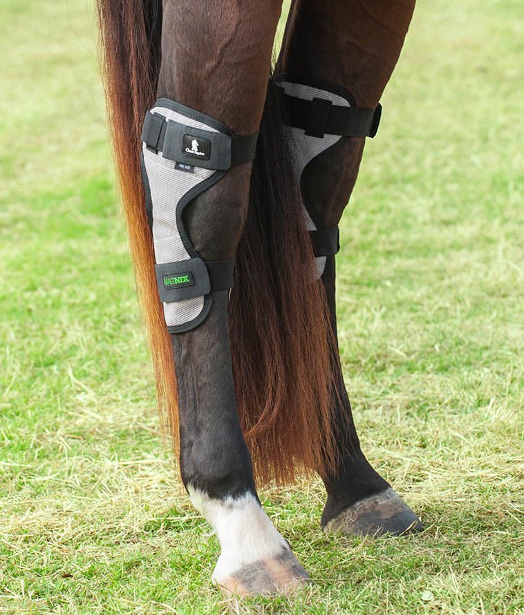 Classic Equine MagNTX Magnetic Therapy Hock Wraps, Pair - Pet's Shop