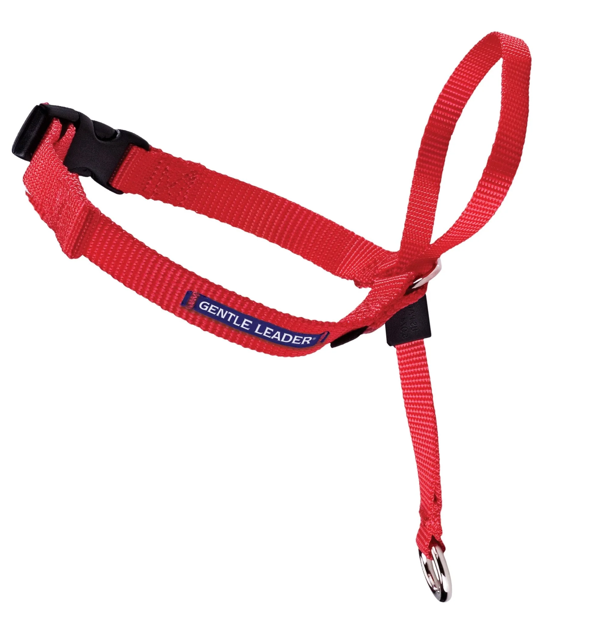 Gentle Leader Headcollar, large (over 60 lb) - Pet's Shop