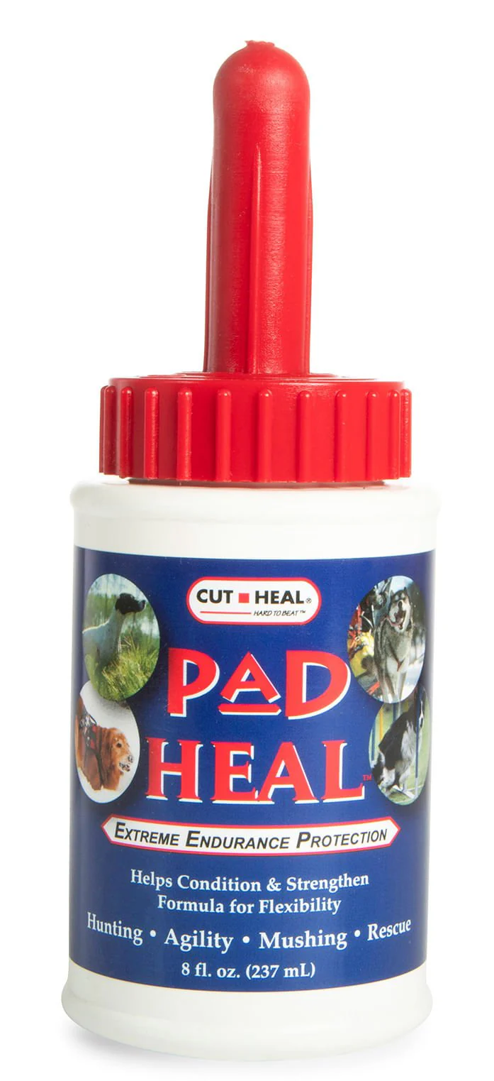 Pad Heal, 8 oz - Pet's Shop