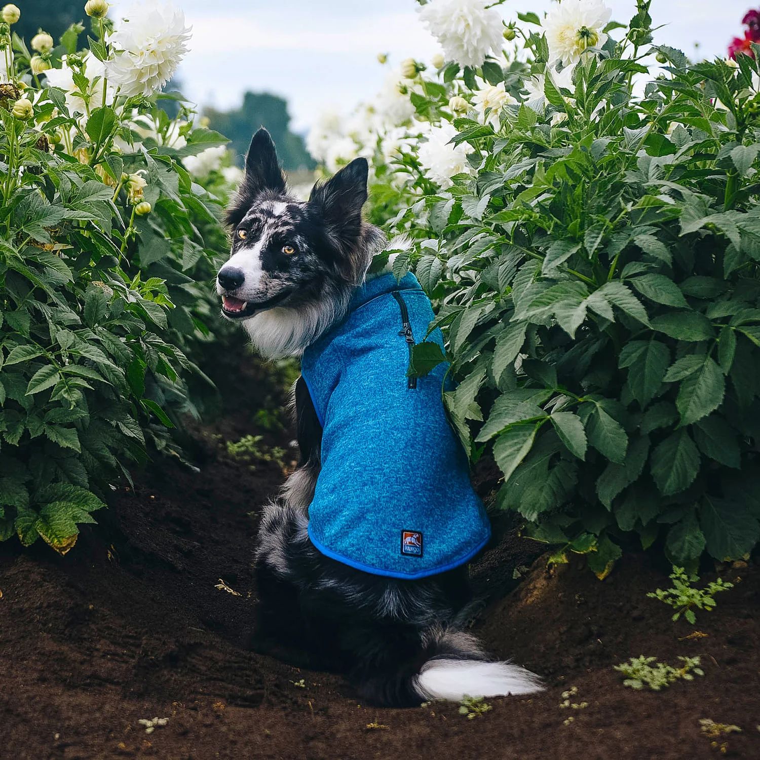 Kurgo K9 Core Sweater - Pet's Shop