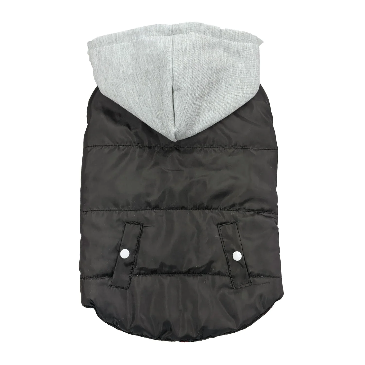 Reversible Sporty Puffer Jacket - Pet's Shop