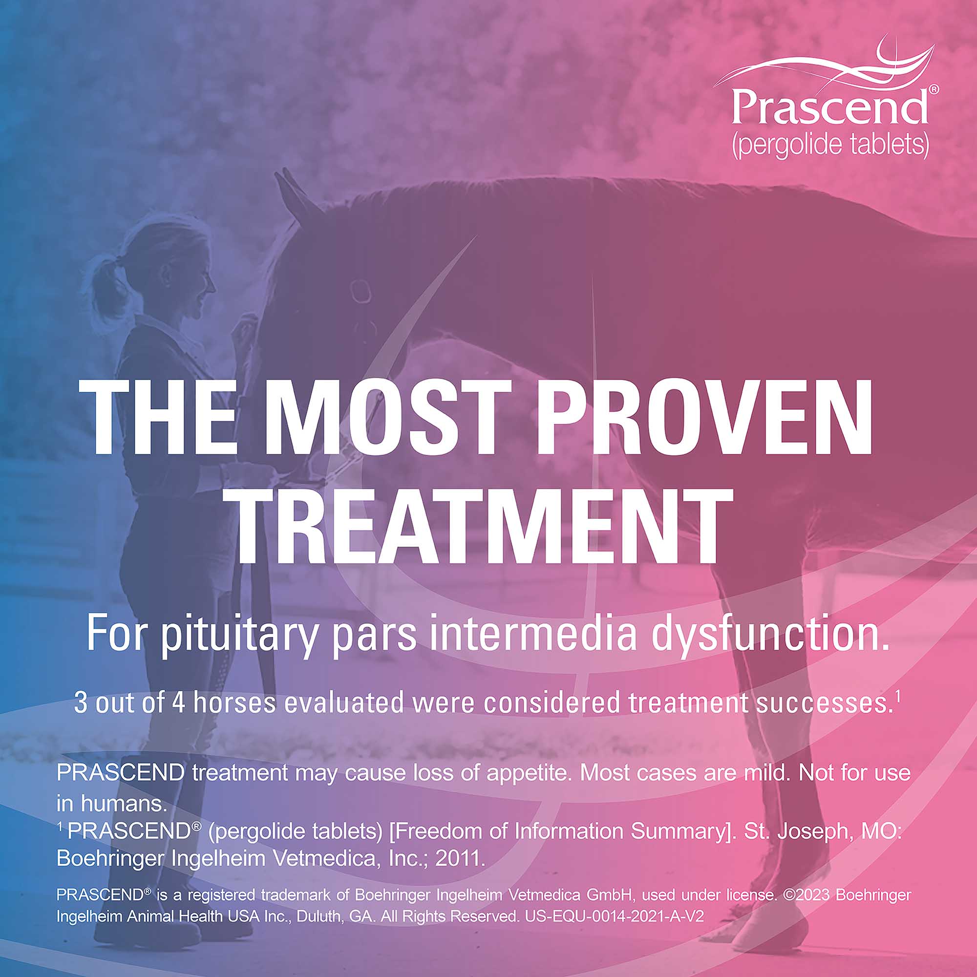 Rx Prascend (pergolide tablets) for Horses, 1 mg - Pet's Shop