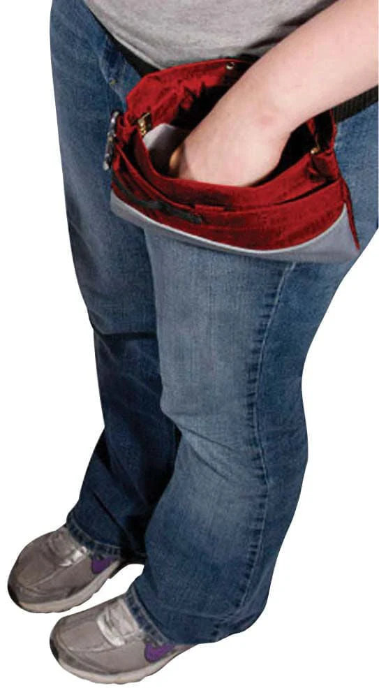 PetSafe Treat Pouch, Sport - Pet's Shop