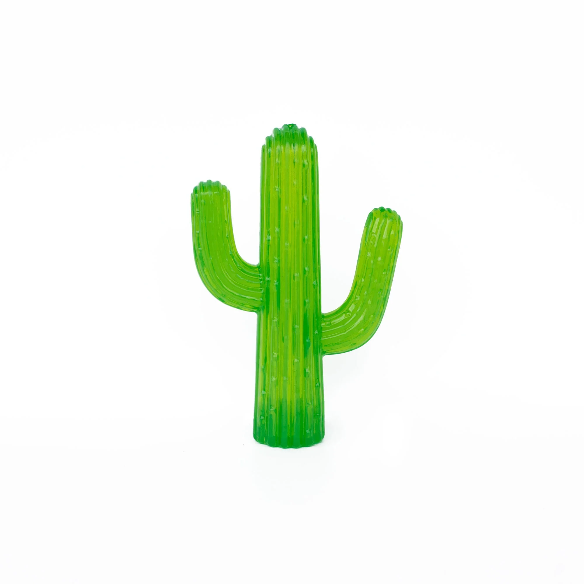 Zippy Tuff Cactus - Pet's Shop
