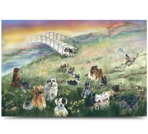 Rainbow Bridge Pet Sympathy Card - Pet's Shop