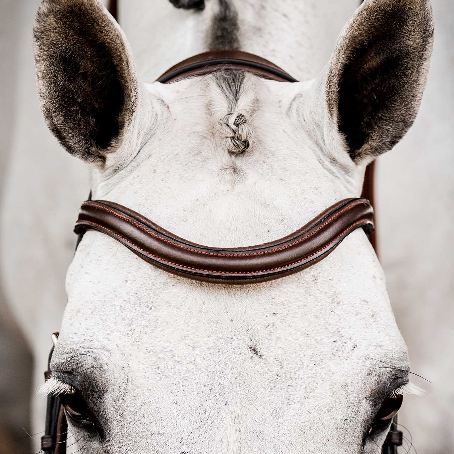 Micklem 2.0 Deluxe Competition Bridle, Havana - Pet's Shop