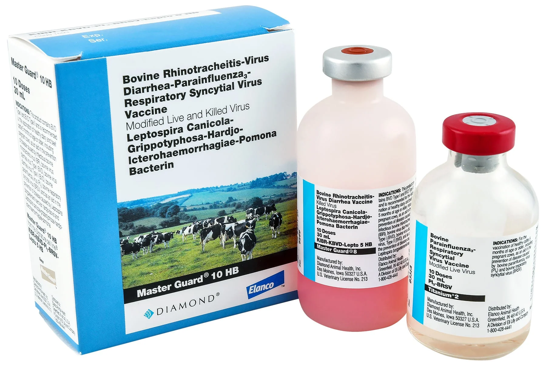 Master Guard 10 HB - Pet's Shop