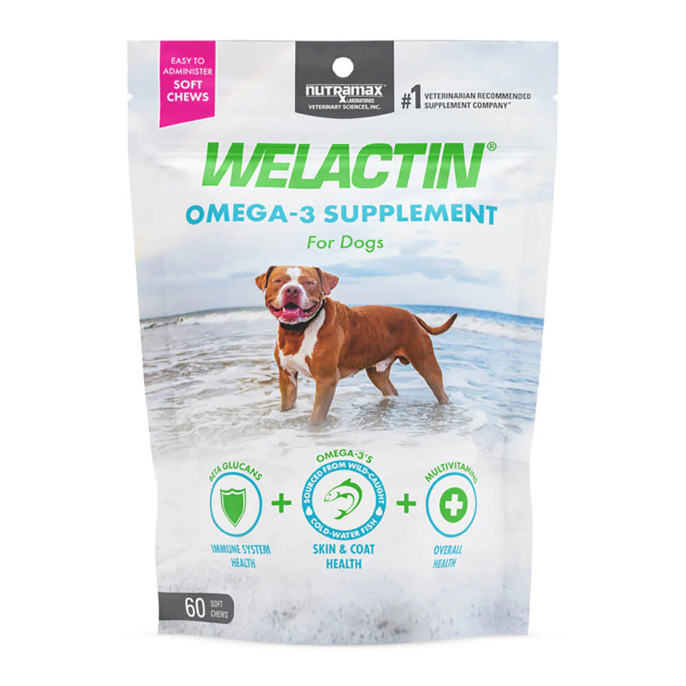 Nutramax Welactin Daily Omega-3 Supplement For Dogs, 60 Soft Chews - Pet's Shop