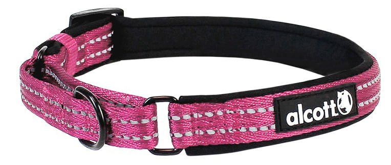 alcott Martingale Collar - Pet's Shop