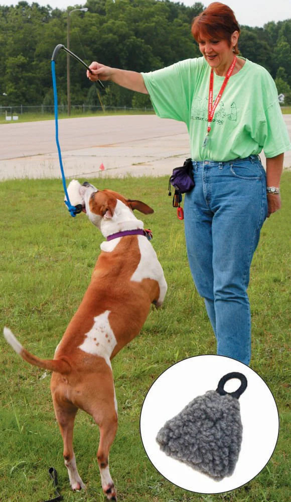 Chase 'n Pull Toy (& Replacement Parts) - Pet's Shop