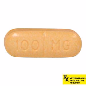 Rx Rimadyl (carprofen) Caplets for Dogs - Pet's Shop