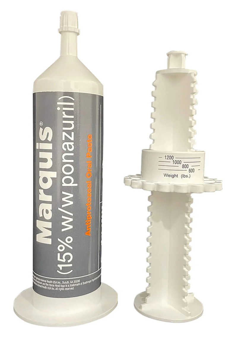 Rx Marquis (15% w/w ponazuril) Antiprotozoal Oral Paste for Horses - Pet's Shop