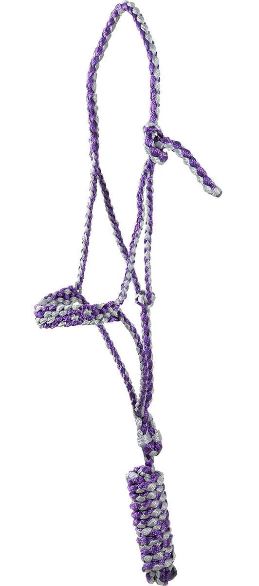 Classic Equine Flat Braid Halter with Lead Rope - Pet's Shop