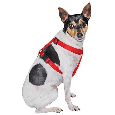 Adjustable Nylon Dog Harness, 5/8
