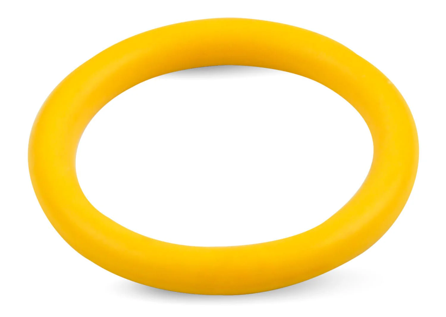 Nylon Syringe (& Replacement Parts) - Pet's Shop