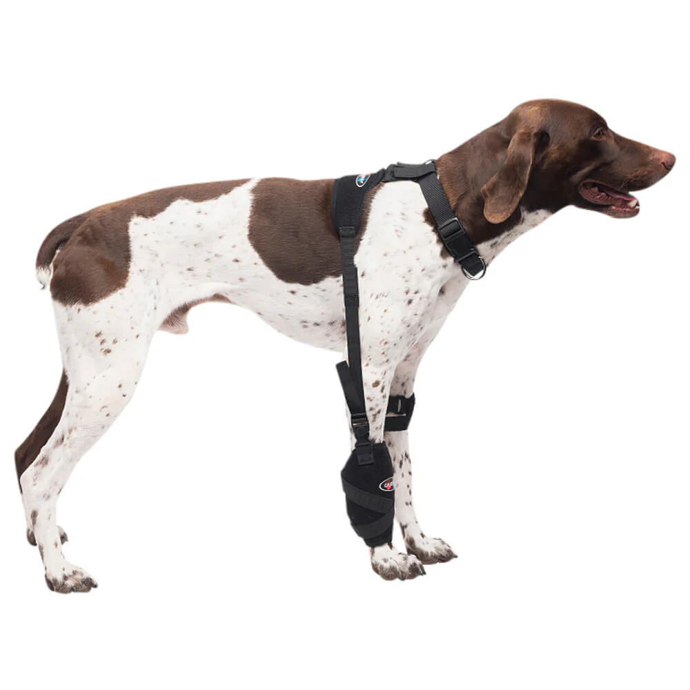 Caldera Pet Universal Therapy Carpal/Elbow Wrap with Therapy Gel - Pet's Shop